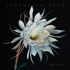 Exploding Star - Heather Maloney - LP - Brand New Vinyl (Arrives in 20days)
