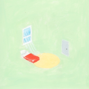 The Birds Outside Sang - Florist - LP - Brand New Vinyl (Arrives in 21 days)
