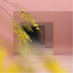 Orients - Witxes - LP - Brand New Vinyl (Arrives in 20days)