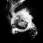 Saffronkeira - Saffronkeira - LP - Brand New Vinyl (Arrives in 20days)