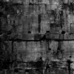 Pax Romana - Coffin Dancer - LP - Brand New Vinyl (Arrives in 20days)