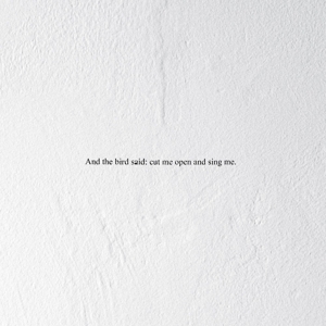 And The Bird Said: Cut Me Open And Sing Me - Prairie - LP - Brand New Vinyl (Arrives in 20days)