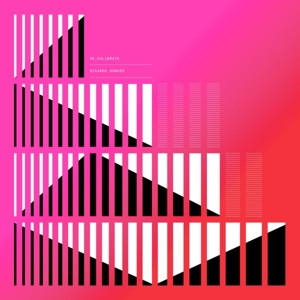 Re_calibrate - Ricardo Donoso - LP - Brand New Vinyl (Arrives in 20days)