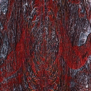 Prime Same - Asfast - LP - Brand New Vinyl (Arrives in 21 days)