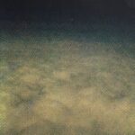 Relationships Between Inner & Outer Space - Moon Zero - LP - Brand New Vinyl (Arrives in 20days)