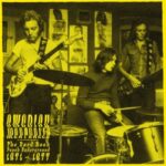 Swedish Meatballs - Various - LP - Brand New Vinyl (Arrives in 20days)