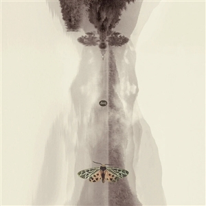 Lunz - Hans-joachim Roedelius - LP - Brand New Vinyl (Arrives in 20days)