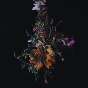 Nature Morte - Big Brave - LP - Brand New Vinyl (Arrives in 20days)