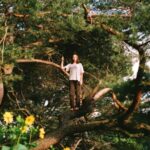 Melt The Honey - Packs - LP - Brand New Vinyl (Arrives in 20days)