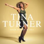 Queen Of Rock 'n' Roll - Tina Turner - LP - Brand New Vinyl (Arrives in 20days)