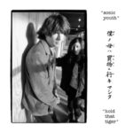 Hold That Tiger - Sonic Youth - LP - Brand New Vinyl (Arrives in 21 days)