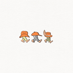 Walkman - Bad Bad Hats - LP - Brand New Vinyl (Arrives in 20days)