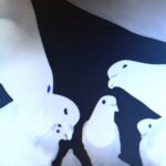 Friedrich - Stimming - LP - Brand New Vinyl (Arrives in 21 days)