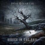 Buried In The Hail - Dom Martin - LP - Brand New Vinyl (Arrives in 21 days)