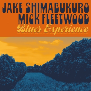 Blues Experience - Shimabukuro, Jake &amp; Mi... - LP - Brand New Vinyl (Arrives in 21 days)
