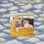 Dulling The Horns - Wild Pink - LP - Brand New Vinyl (Arrives in 20days)