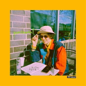 Peacemeal - Ron Gallo - LP - Brand New Vinyl (Arrives in 20days)