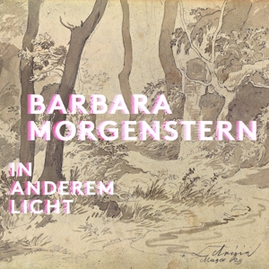 In Anderem Licht - Barbara Morgenstern - LP - Brand New Vinyl (Arrives in 20days)