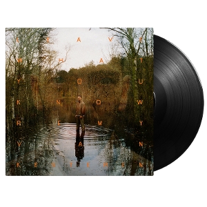 Leave What You Know - Remy Van Kesteren - LP - Brand New Vinyl (Arrives in 21 days)