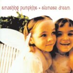Siamese Dream - Smashing Pumpkins - LP - Brand New Vinyl (Arrives in 21 days)