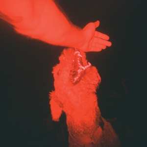 A Trick Of The Light - Eli Winter - LP - Brand New Vinyl (Arrives in 21 days)