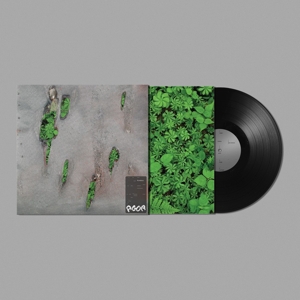 Agor - Koreless - LP - Brand New Vinyl (Arrives in 20days)