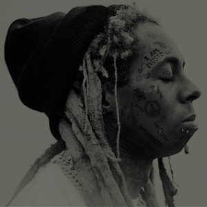 I Am Music - Lil Wayne - LP - Brand New Vinyl (Arrives in 20days)
