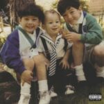 The Family Business - Jonas Brothers - LP - Brand New Vinyl (Arrives in 21 days)