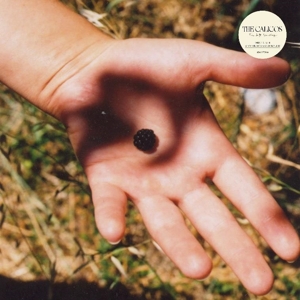 The Soft Landing - Calicos - LP - Brand New Vinyl (Arrives in 20days)