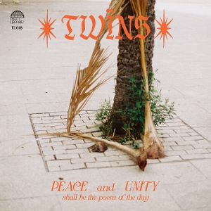 Healing Dreams - Twins - LP - Brand New Vinyl (Arrives in 20days)