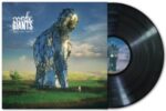 Amplify Human Vibration - Nordic Giants - LP - Brand New Vinyl (Arrives in 21 days)