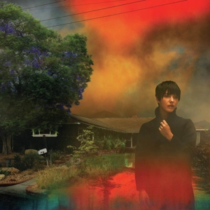 We've Been Going About This All Wrong - Sharon Van Etten - LP - Brand New Vinyl (Arrives in 20days)