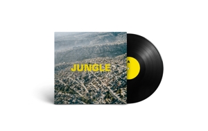 Jungle - Blaze - LP - Brand New Vinyl (Arrives in 20days)