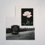 It's All Smiles - No Rome - LP - Brand New Vinyl (Arrives in 20days)