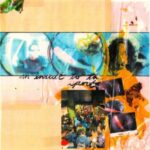 An Insult To The Sport - They Are Gutting A Bod... - LP - Brand New Vinyl (Arrives in 20days)