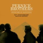 Overcome By Happiness - Pernice Brothers - LP - Brand New Vinyl (Arrives in 20days)