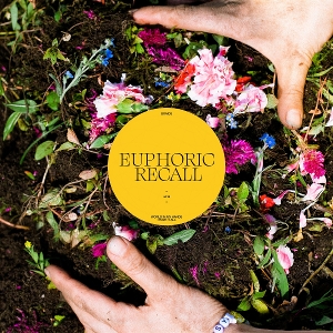 Euphoric Recall - Braids - LP - Brand New Vinyl (Arrives in 20days)