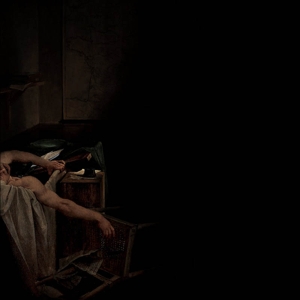 Voids - Have A Nice Life - LP - Brand New Vinyl (Arrives in 20days)