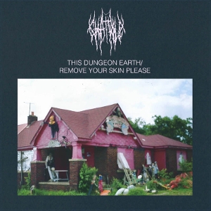 This Dungeon Earth / Remove Your Skin Please - Chat Pile - LP - Brand New Vinyl (Arrives in 20days)