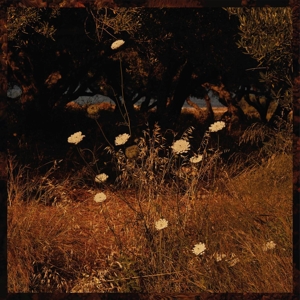 Earth Patterns - Szun Waves - LP - Brand New Vinyl (Arrives in 21 days)