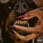 Mutt Deluxe: Heel - Leon Thomas - LP - Brand New Vinyl (Arrives in 20days)
