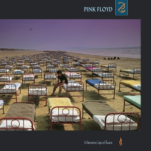 A Momentary Lapse Of Reason - Pink Floyd - LP - Brand New Vinyl (Arrives in 20days)