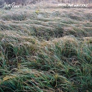 Music For Writers - Steve Gunn - LP - Brand New Vinyl (Arrives in 20days)
