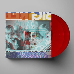 How Long Do You Think It's Gonna Last? - Big Red Machine - LP - Brand New Vinyl (Arrives in 20days)