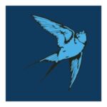 Love & Light - Tom Speight - LP - Brand New Vinyl (Arrives in 20days)