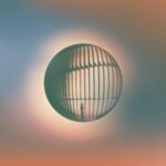 High Life - Daniel Ellsworth &... - LP - Brand New Vinyl (Arrives in 20days)