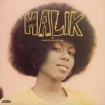 Malik - Lafayette Afro-rock Band - LP - Brand New Vinyl (Arrives in 20days)