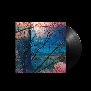 Idlewild - Idlewild - LP - Brand New Vinyl (Arrives in 20days)