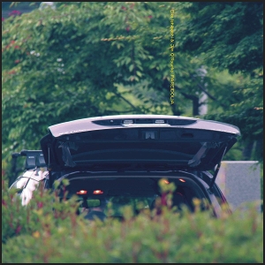 Pareidolia - Ishibashi, Eiko &amp; Jim ... - LP - Brand New Vinyl (Arrives in 21 days)