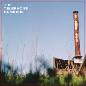 Scarecrow Ii - Telephone Numbers - LP - Brand New Vinyl (Arrives in 21 days)